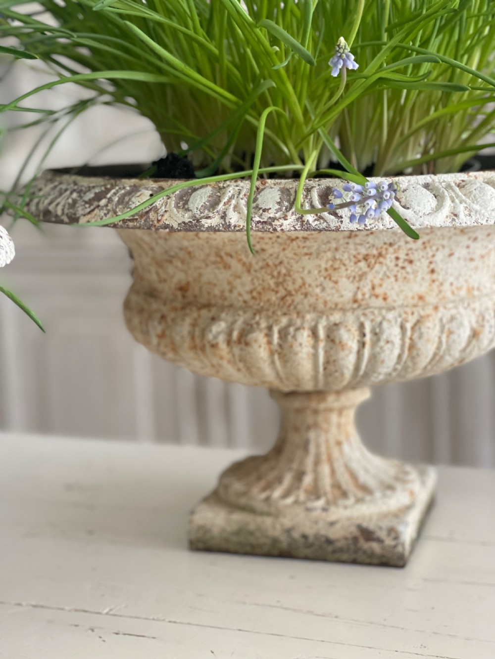 Pair of large antique French cast iron planters View IV