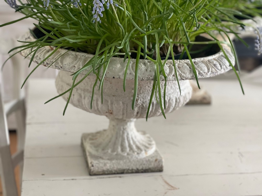 Pair of large antique French cast iron planters View V