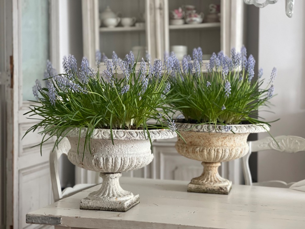 Pair of large antique French cast iron planters View VII