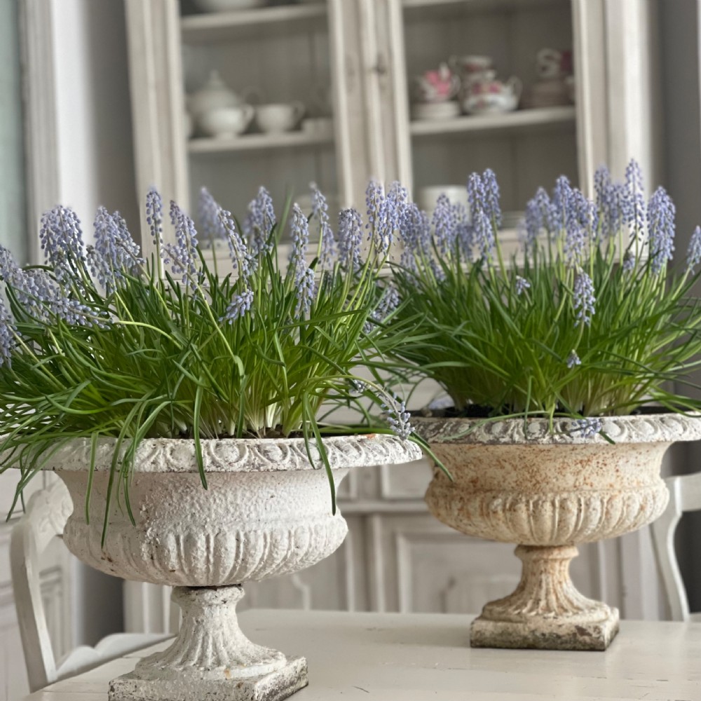 Pair of large antique French cast iron planters View VIII