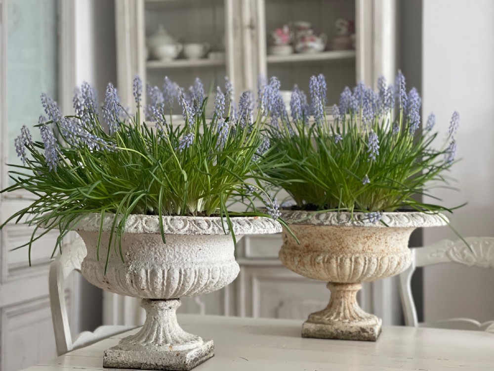 Pair of large antique French cast iron planters View IX
