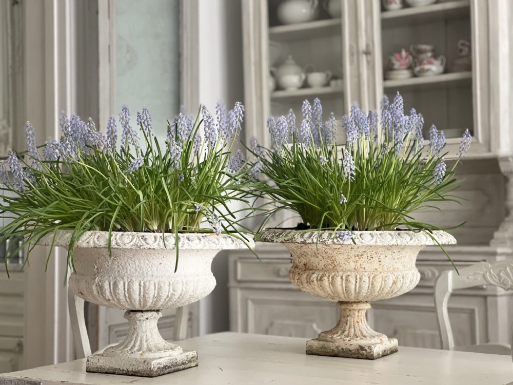 Pair of large antique French cast iron planters