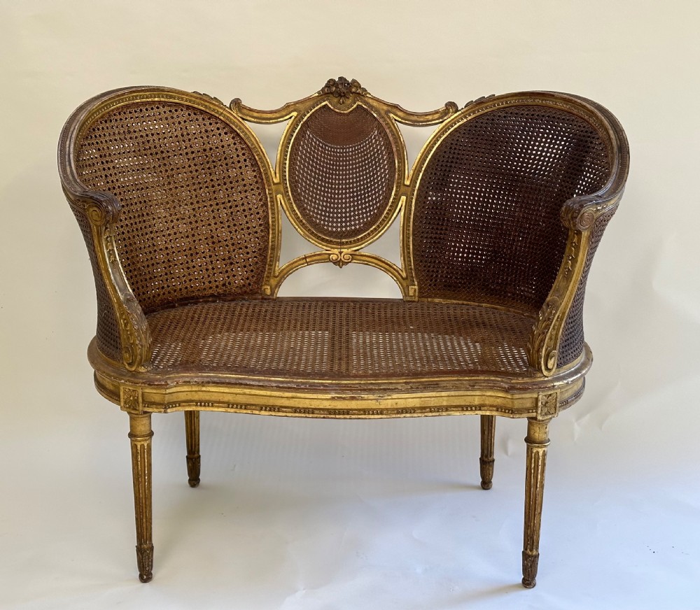 A Louis XVI style French giltwood sofa featuring a curved frame, hand-woven cane backrest and seat, and fluted legs. View III