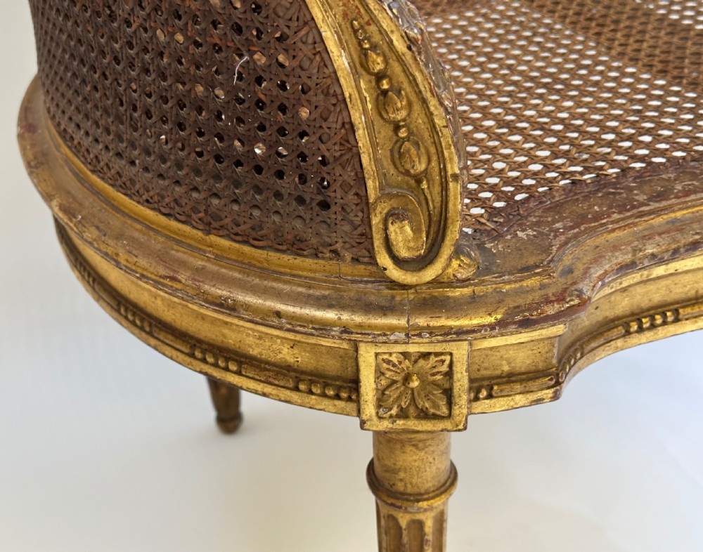 A Louis XVI style French giltwood sofa featuring a curved frame, hand-woven cane backrest and seat, and fluted legs. View VI