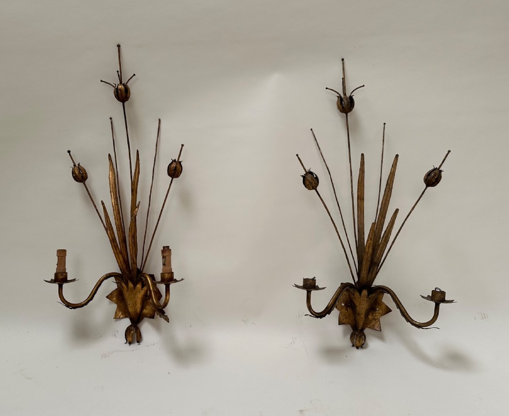 A pair of gold-gilded metal wall sconces featuring slender botanical stems with seed pods and twin scrolling candle arms.