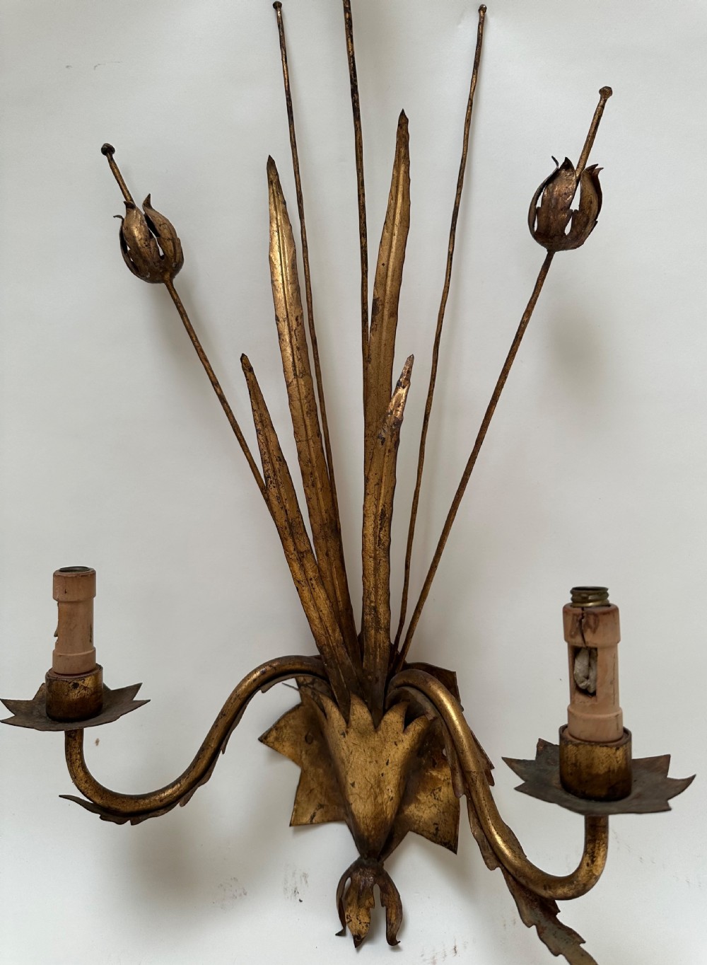 A pair of gold-gilded metal wall sconces featuring slender botanical stems with seed pods and twin scrolling candle arms. View V