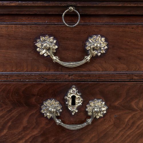A George II Cuban mahogany chest featuring brass drop handles, keyhole escutcheons, a top brushing slide, two short drawers, two long drawers, and bracket feet. View V