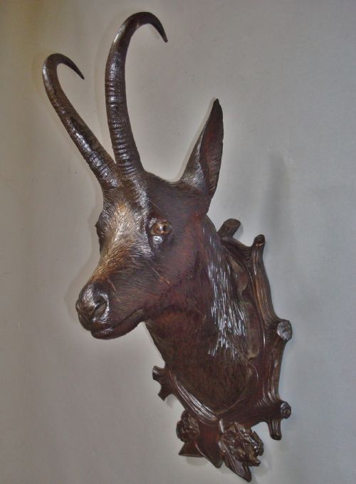 A Fine C19th Black Forest Carved Chamois Head