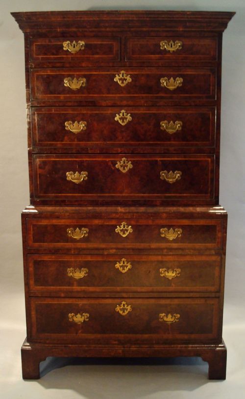 Georgian Burr Yew Tallboy of Small Proportions