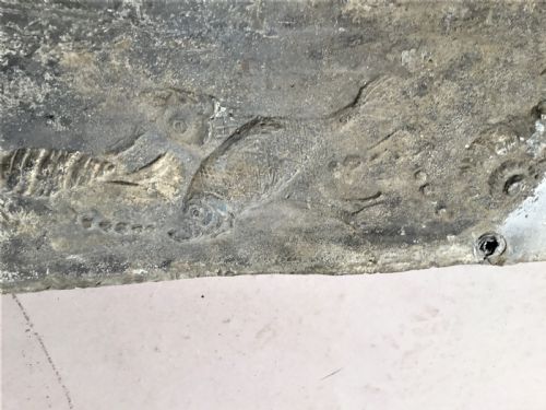 GEORGIAN LEAD CISTERN PANEL DATED 1765 AND OF MARINE INTEREST - ADDITIONAL PHOTO 15