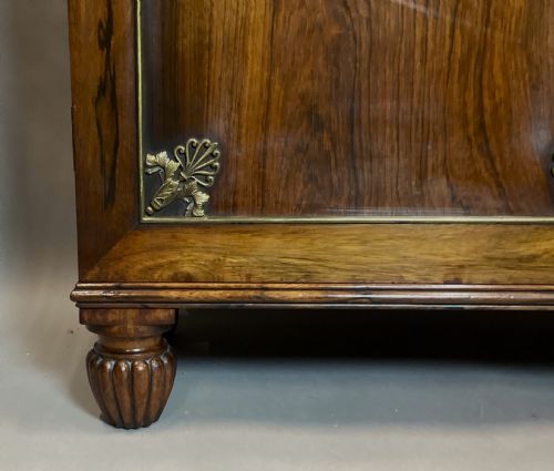 REGENCY ROSEWOOD AND GILT BRASS SIDE CABINET ATTRIBUTED TO GILLOWS - ADDITIONAL PHOTO 18