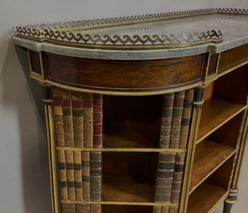 REGENCY ROSEWOOD AND PARCEL GILT OPEN BOOKCASE SIDE CABINET WITH LEATHER DUMMY BOOKS - ADDITIONAL PHOTO 22