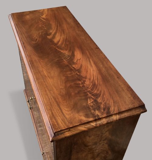 C19TH MAHOGANY HABERDASHERY CABINET OFFICE CABINET - ADDITIONAL PHOTO 8