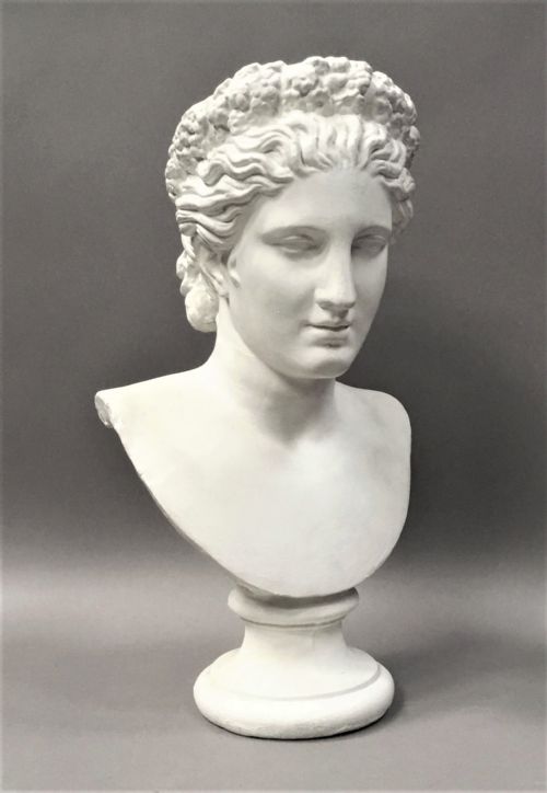 C19th Plaster Life Size Bust of Venus
