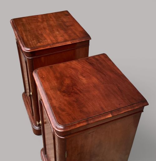 GEORGE IV PAIR OF MAHOGANY PEDESTAL BEDSIDE CUPBOARDS ATTRIBUTED TO HOLLAND SONS - ADDITIONAL PHOTO 3