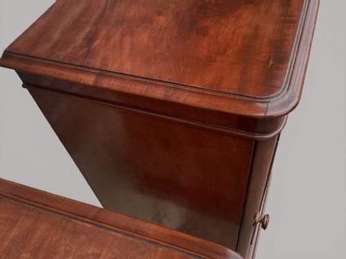 GEORGE IV PAIR OF MAHOGANY PEDESTAL BEDSIDE CUPBOARDS ATTRIBUTED TO HOLLAND SONS - ADDITIONAL PHOTO 7