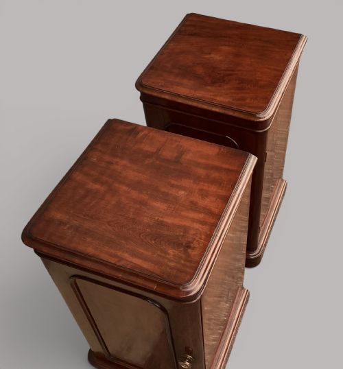 GEORGE IV PAIR OF MAHOGANY PEDESTAL BEDSIDE CUPBOARDS ATTRIBUTED TO HOLLAND SONS - ADDITIONAL PHOTO 10