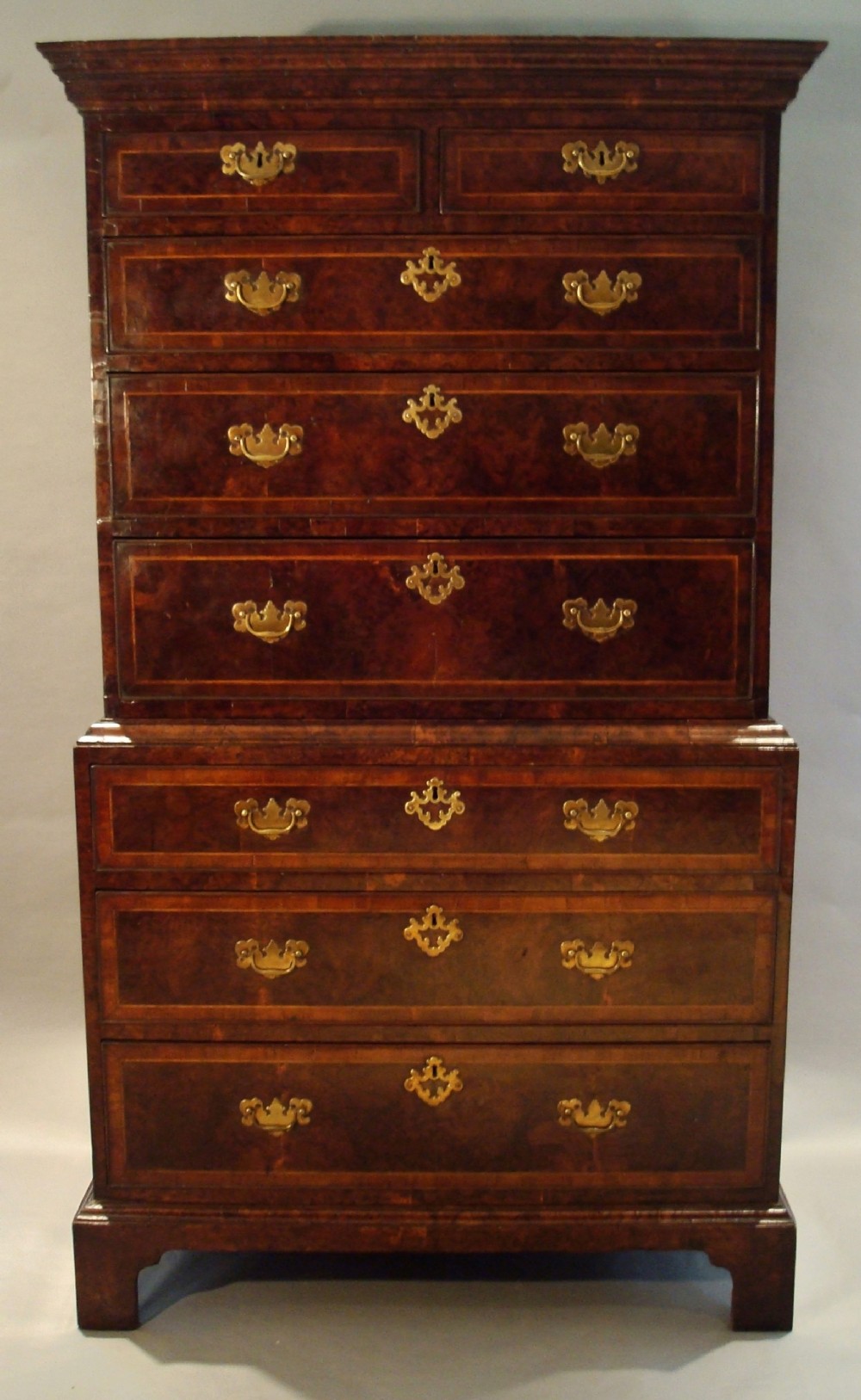 Georgian Burr Yew Tallboy of Small Proportions