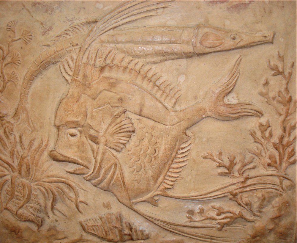 C19th pair of terracotta plaques sculpted with fish and marine life View VII