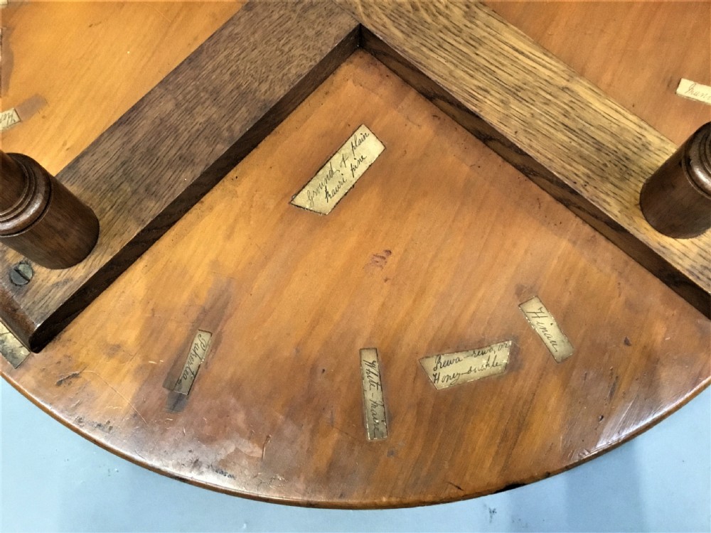A nineteenth-century circular specimen wood side table featuring a geometric starburst inlaid tabletop supported by four turned legs and an X-frame cross stretcher. View XIII