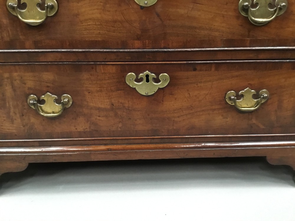 Rare George II laburnum small chest of drawers View X