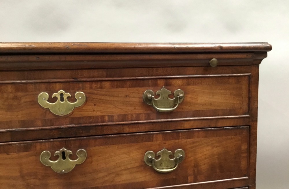 Rare George II laburnum small chest of drawers View XI