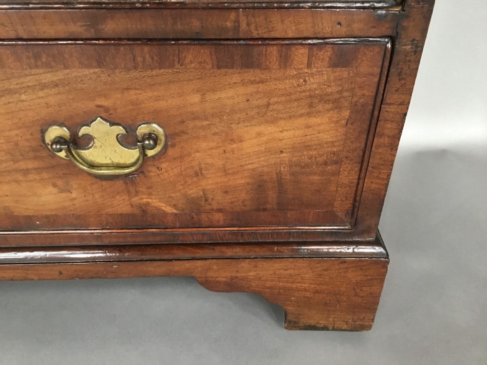Rare George II laburnum small chest of drawers View XIII