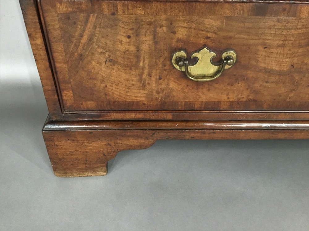 Rare George II laburnum small chest of drawers View XIV