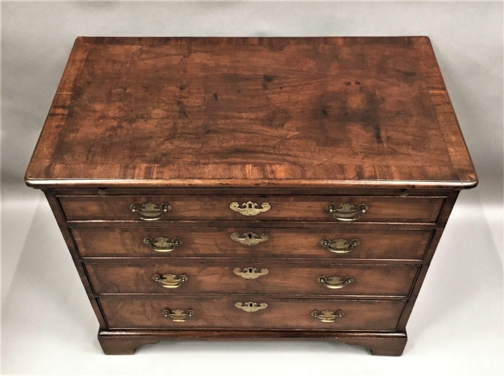 Rare George II laburnum small chest of drawers View XX