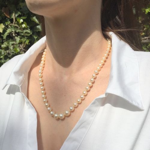 fig 1. Mid Century Cultured Pearl Necklace with Sapphire & Rose Cut Diamond Clasp, French, circa 1950
