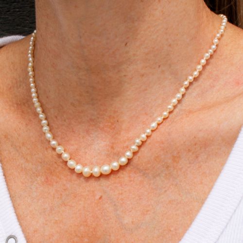 fig 1. A single strand of vintage graduated cream saltwater pearls display strung on a neck display bust.