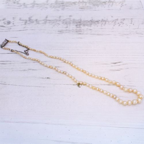fig 3. A single strand of vintage graduated cream saltwater pearls display strung on a neck display bust.