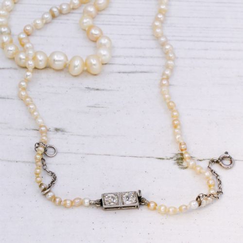 fig 4. A single strand of vintage graduated cream saltwater pearls display strung on a neck display bust.