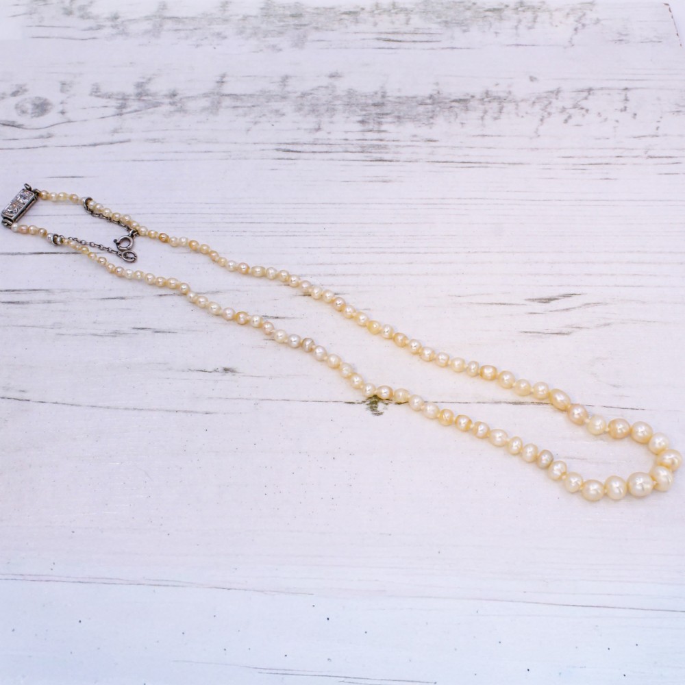 A single strand of vintage graduated cream saltwater pearls display strung on a neck display bust. View IV