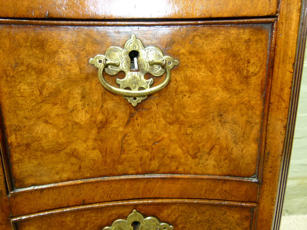 Burr Walnut Desk View VII