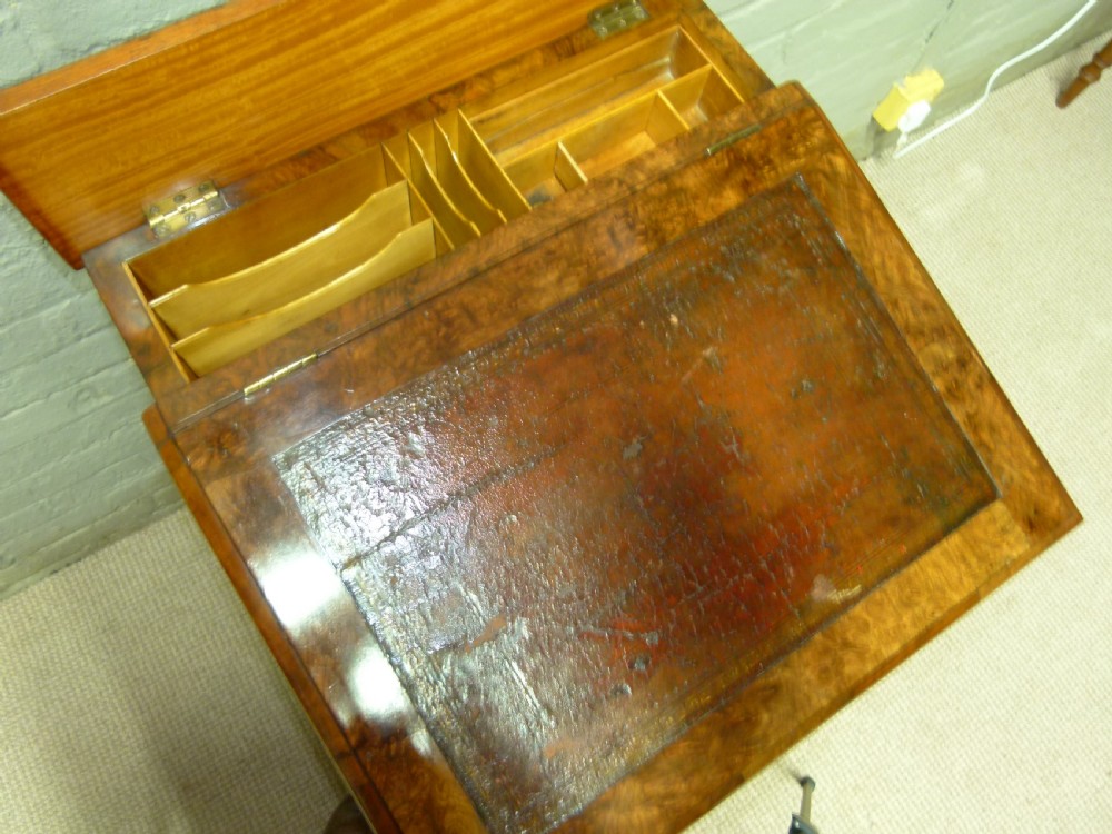Burr Walnut Davenport View II