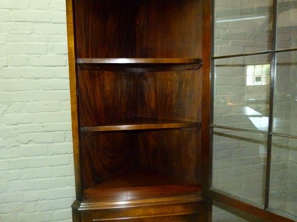 Corner Cabinet View VIII