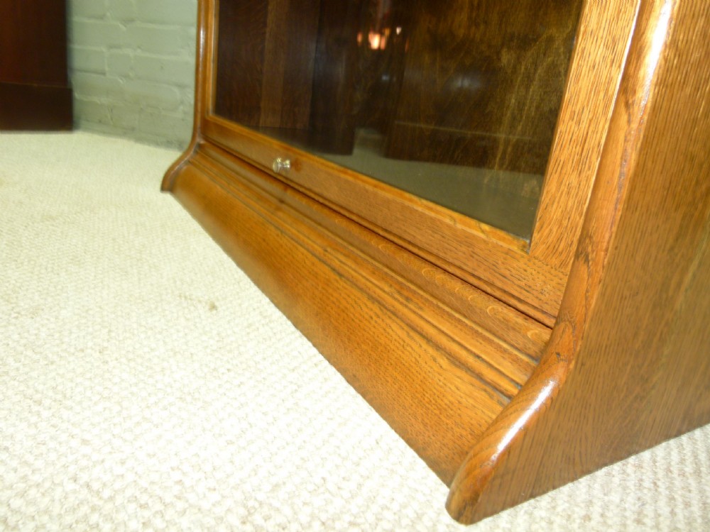 Bookcase View V