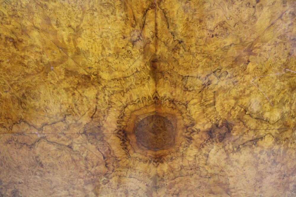 Burr Walnut Table View III
