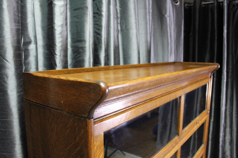 Globe Wernicke style  Bookcase View II