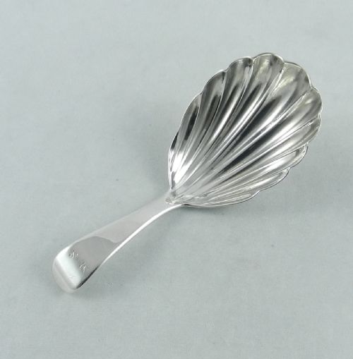 Antique Silver "Shell" Caddy Spoon.