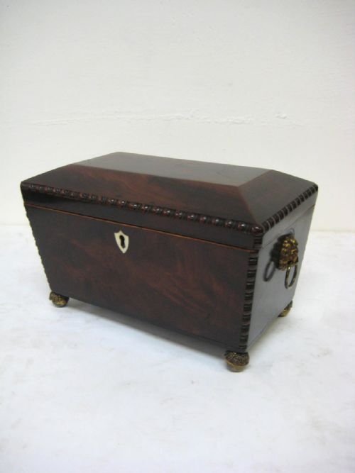 Scottish George IV Mahogany Sarcophagus Tea Caddy