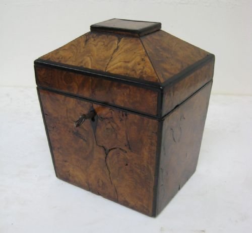 Regency Tea Caddy