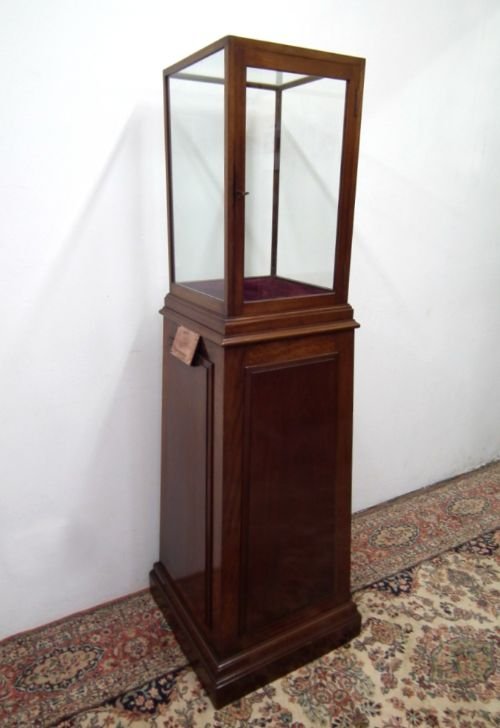 Mahogany and Glazed Museum Display Case