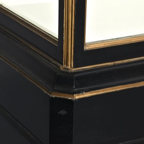 EXCEPTIONAL PAIR OF MAHOGANY GLAZED SHOW CASES - ADDITIONAL PHOTO 2