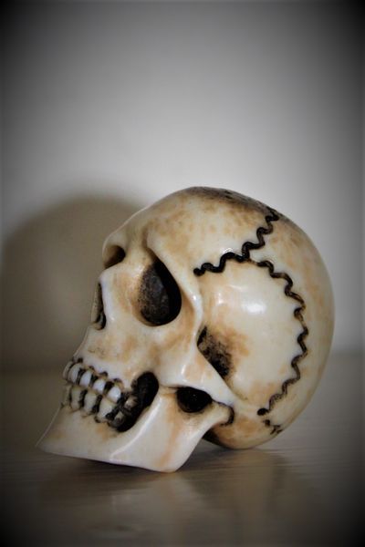 Antique Finely Carved Staghorn Skull