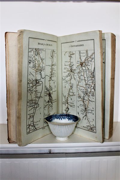 BOOK BY TAYLOR AND SKINNERS