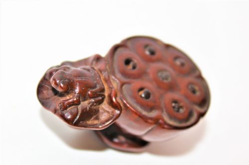 Finely Carved Boxwood Netsuke of a Lotus Seed Pod with Toad