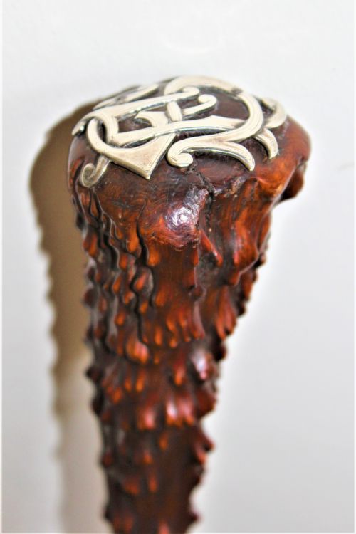 A STURDY WALKING STICK OF NATURAL FORM