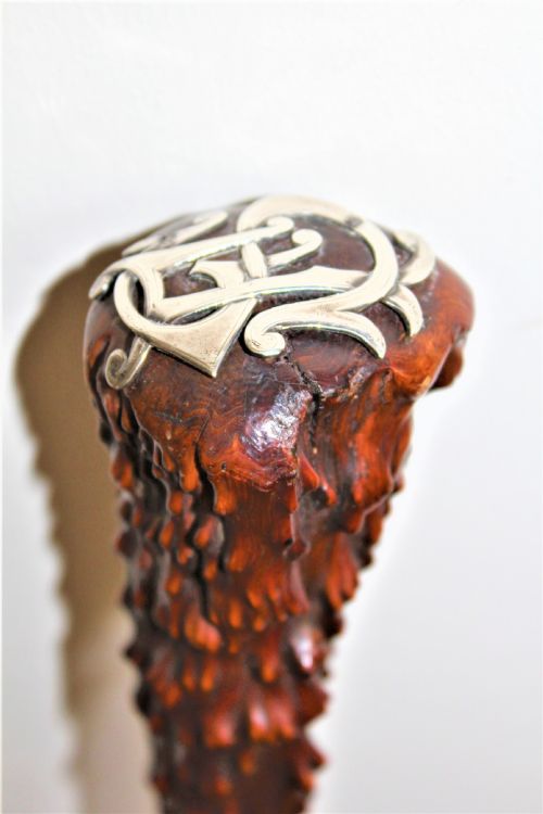 A STURDY WALKING STICK OF NATURAL FORM - ADDITIONAL PHOTO 1